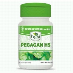 PEGAGAN HS