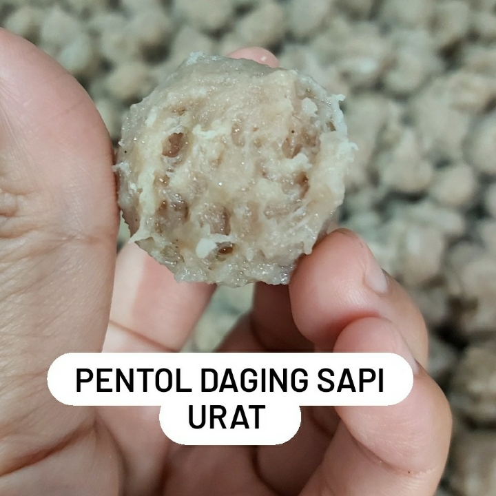 PENTOL URAT DAGING SAPI 2