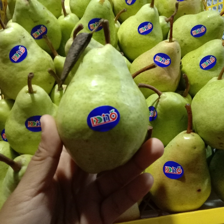 PIR HIJAU PREMIUM