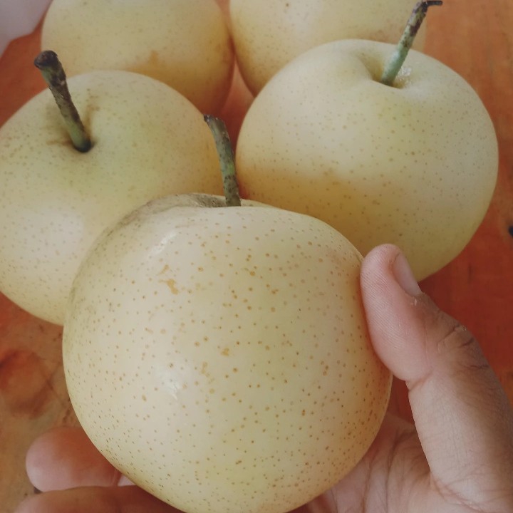PIR MADU 2