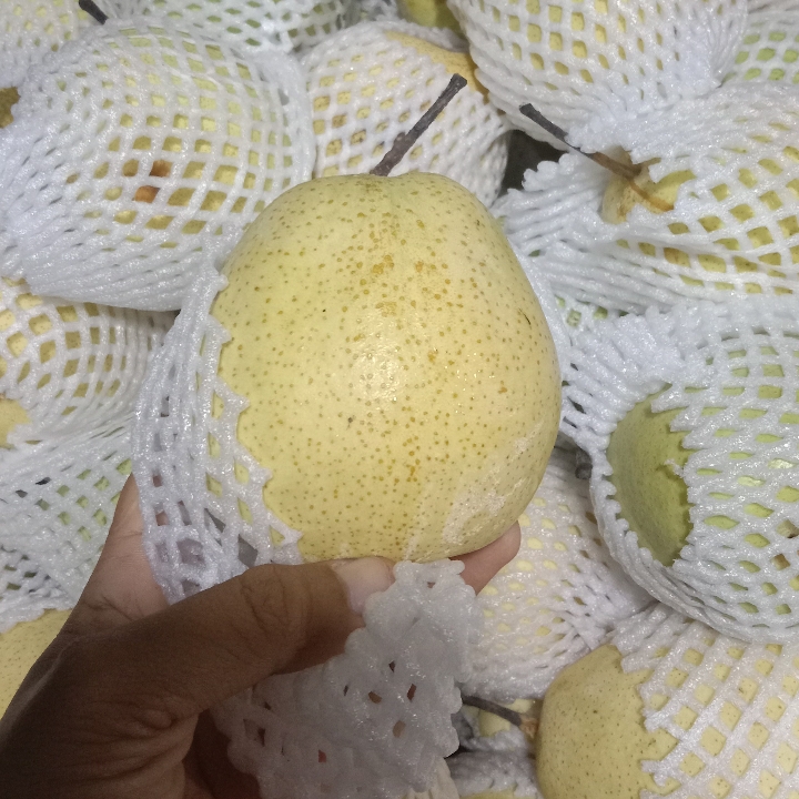 PIR SHANDONG HIJAU FRESH 1 Kg 14000