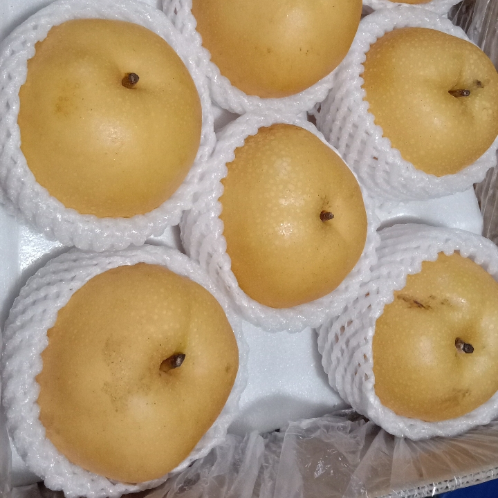 PIR SINGO ATAU PIR SULTAN