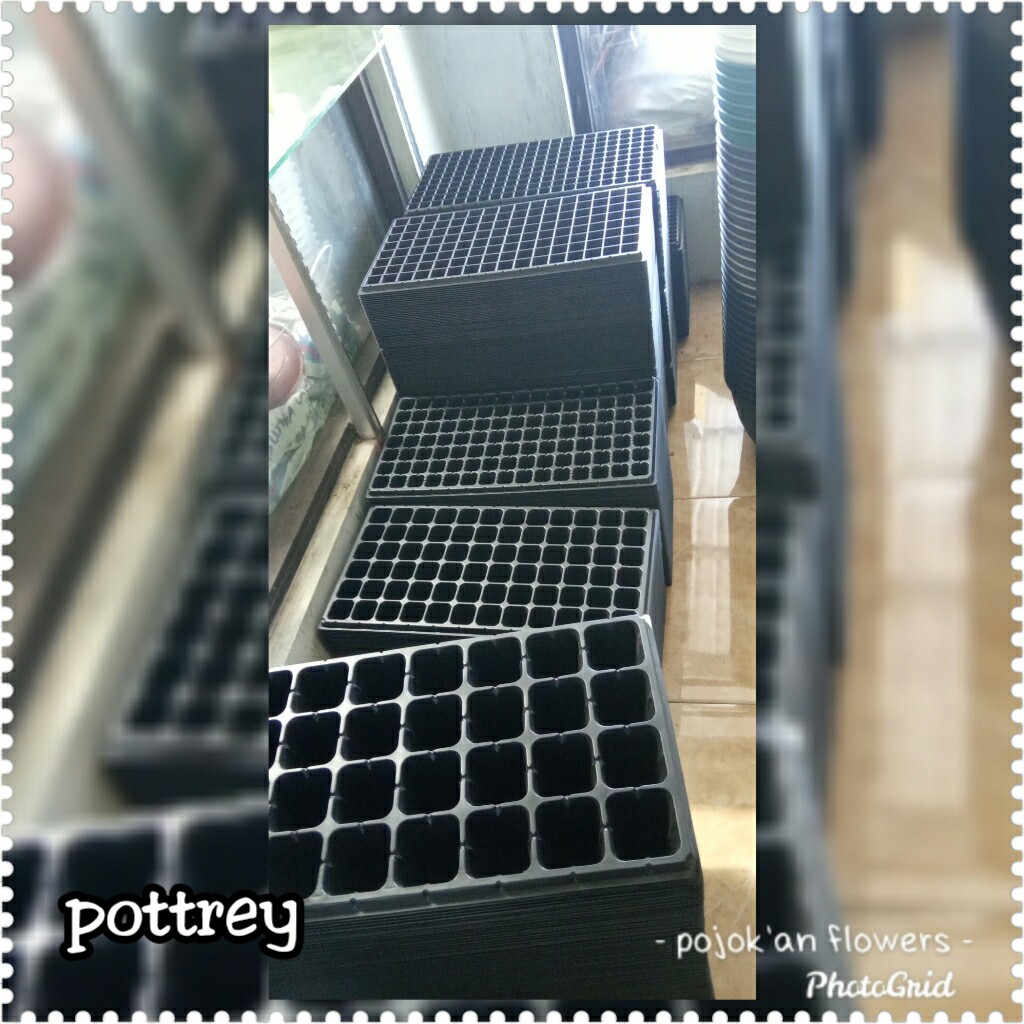 POT TRAY