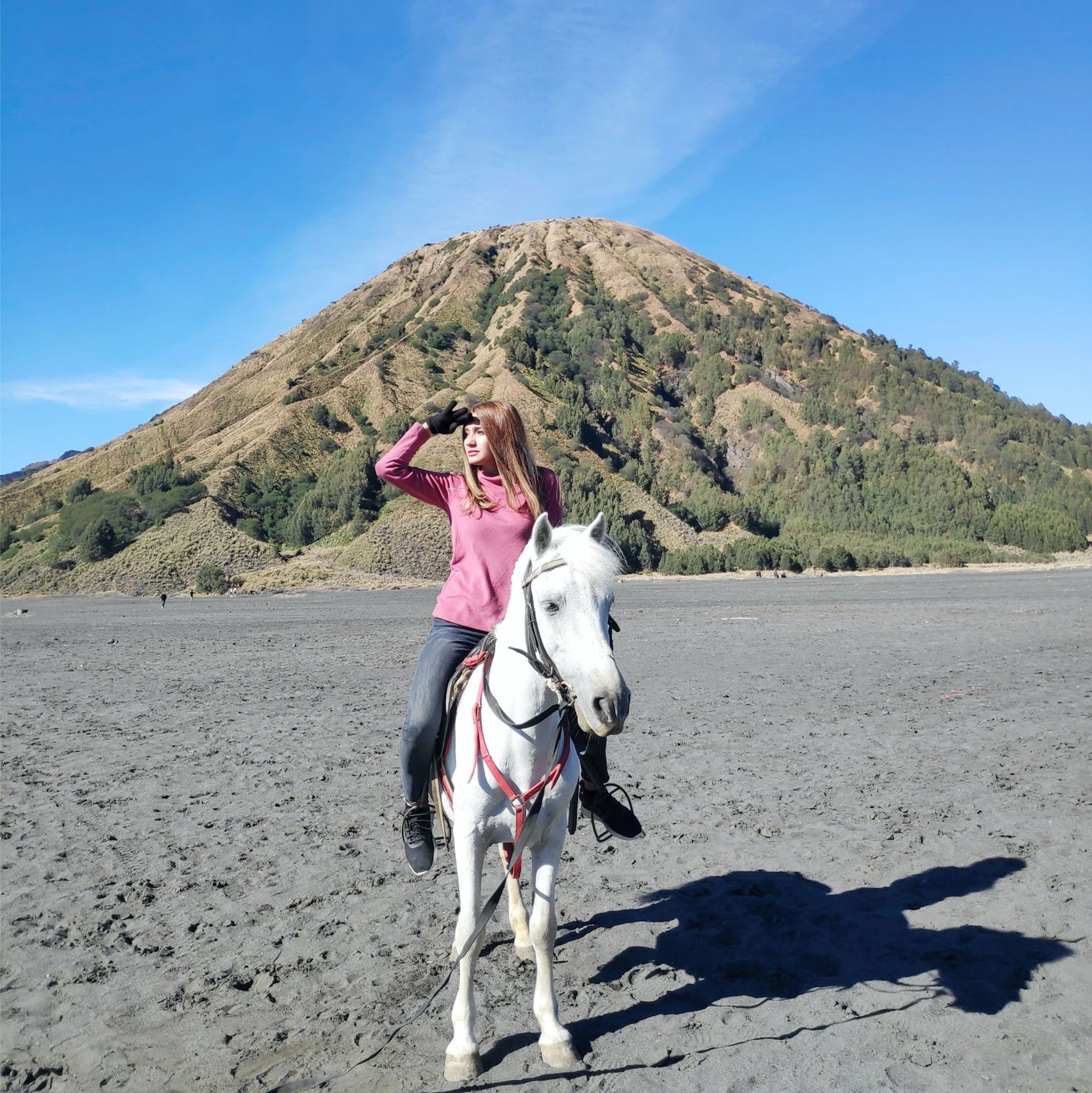PRIVATE TRIP BROMO PAKET EKSEKUTIF 4