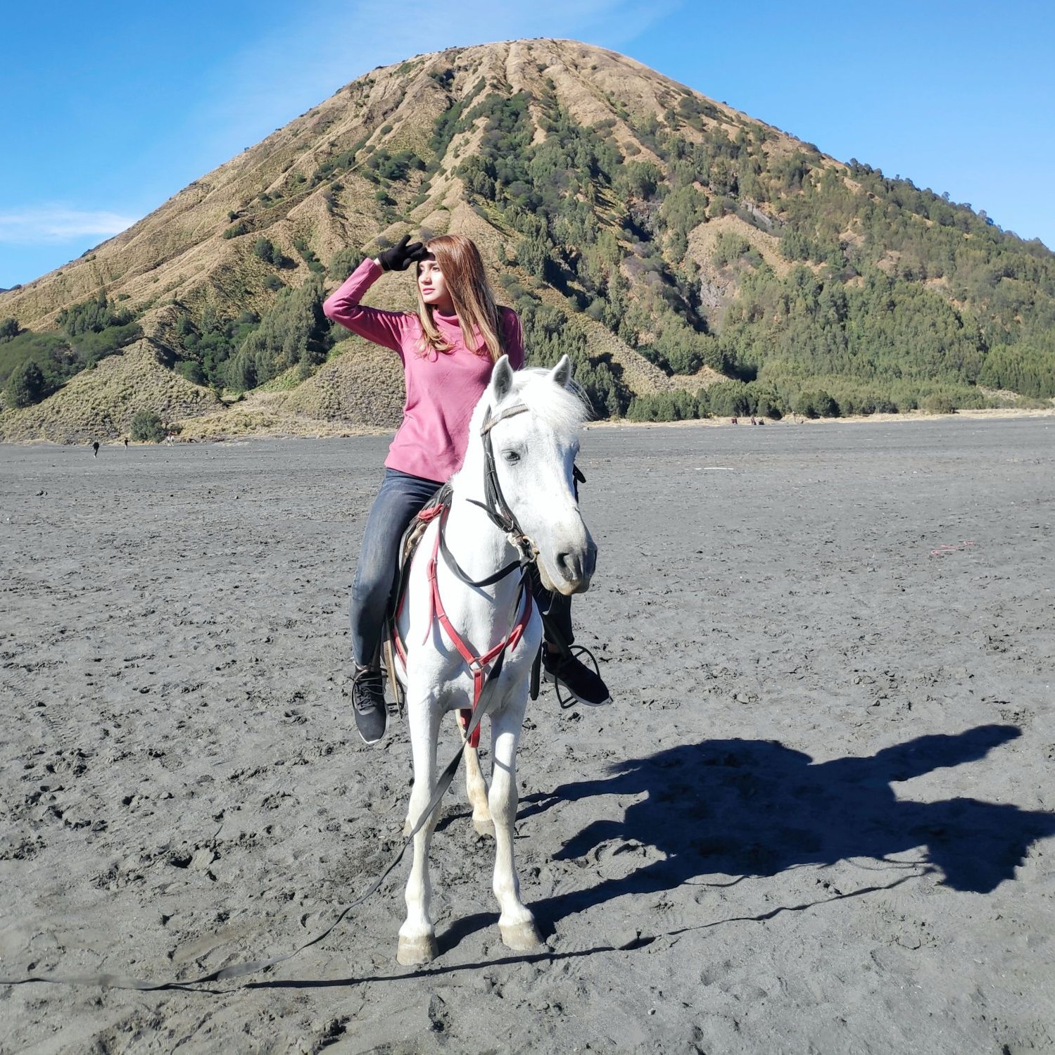 PRIVATE TRIP PAKET BISNIS 4