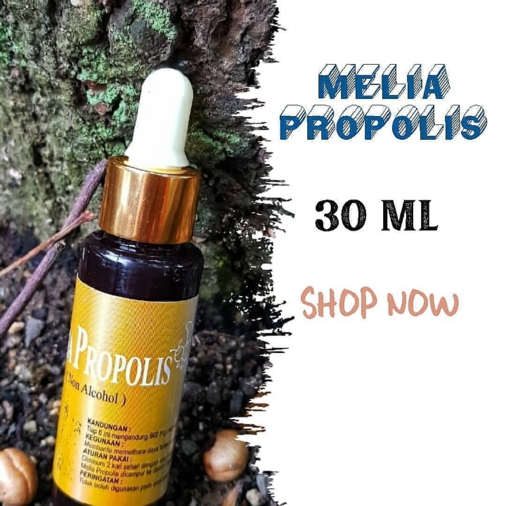PROPOLIS 30 ML 1 BOTOL ISI 600 TETES
