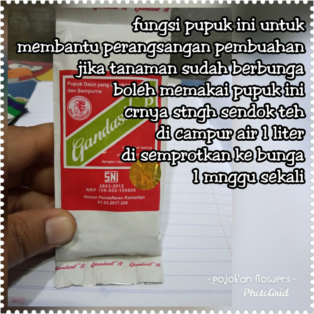 PUPUK BUBUK GANDASIL B