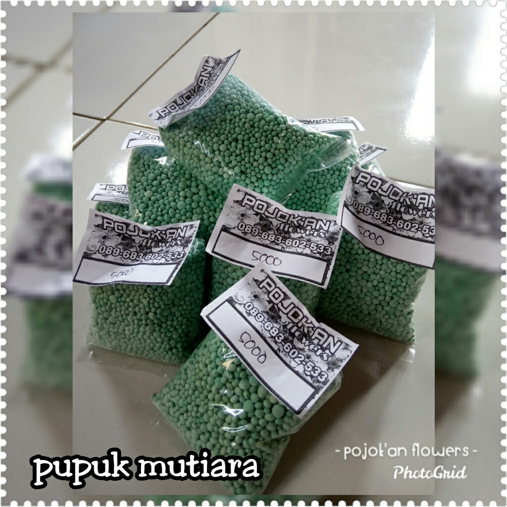 PUPUK NPK MUTIARA