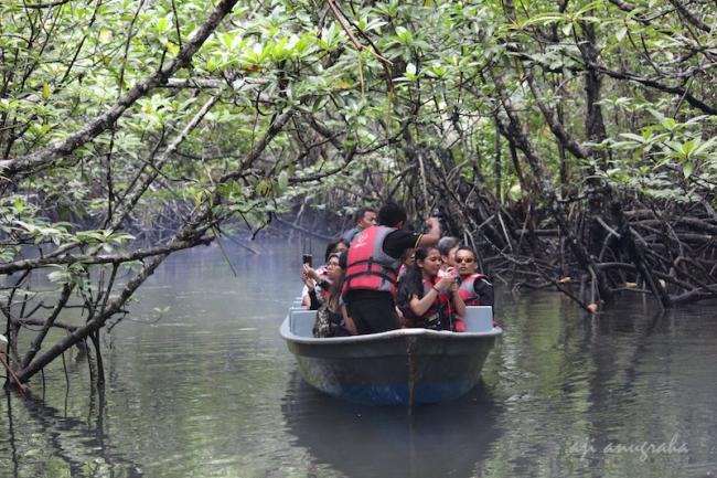 Package Mangrove or Fireflies and Meal