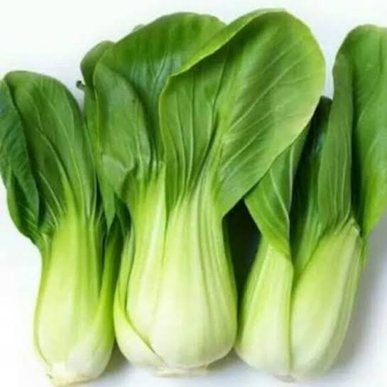 Pakchoi