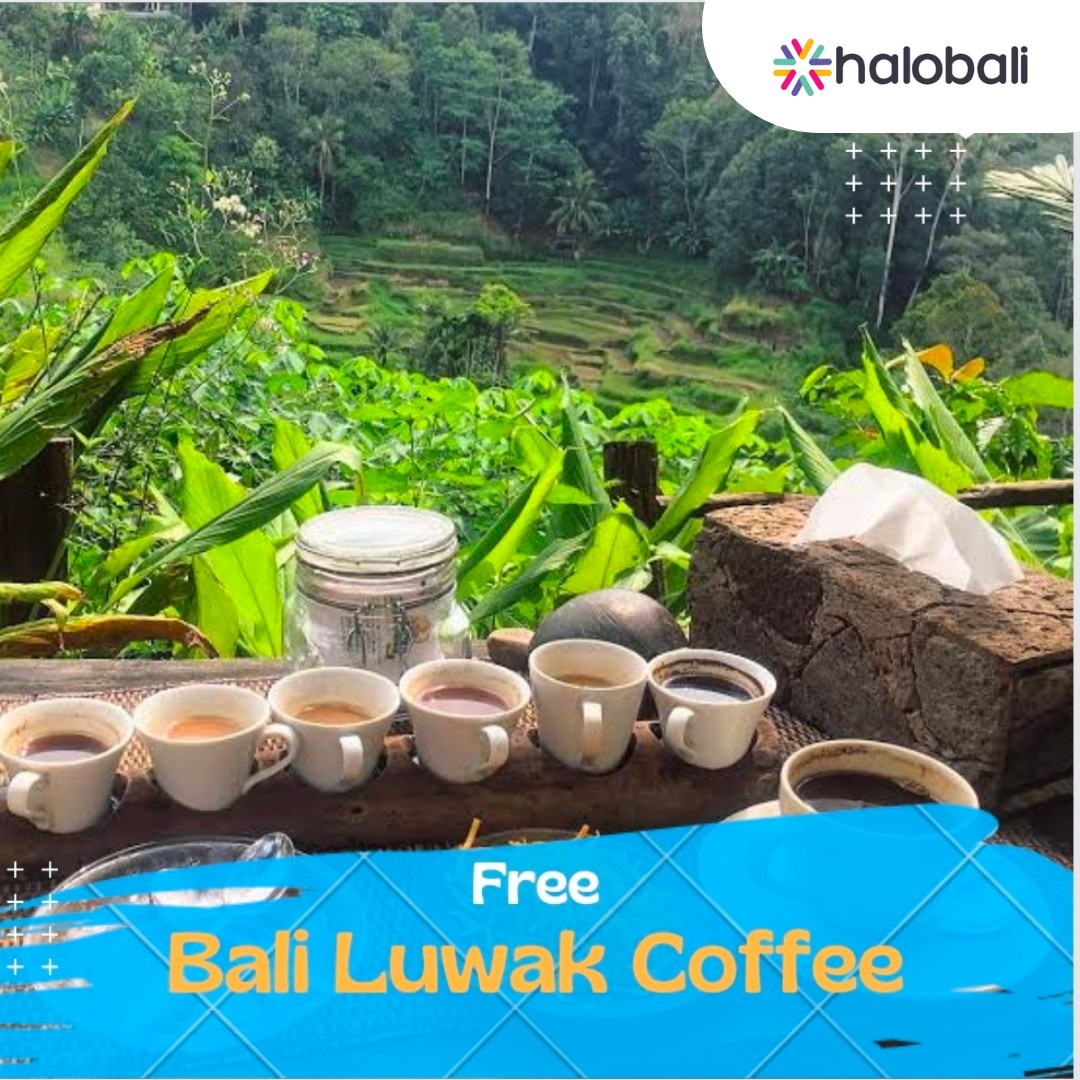 Paket 1 Hari Bedugul Tour 4