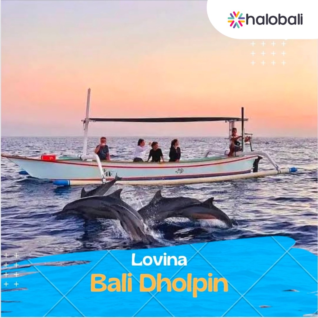 Paket 1 Hari Lovina Tour