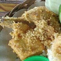 Paket Ayam Kremes atau Bakar