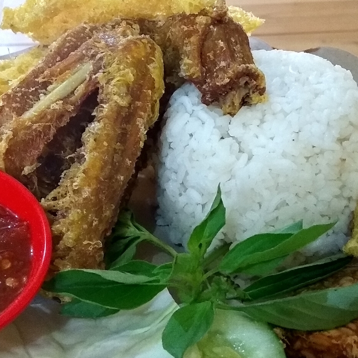 Paket Bebek Kremes