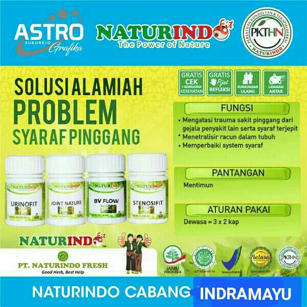 Paket HERBAL Naturindo 
