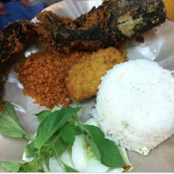 Paket Ikan Lele Krenyezz