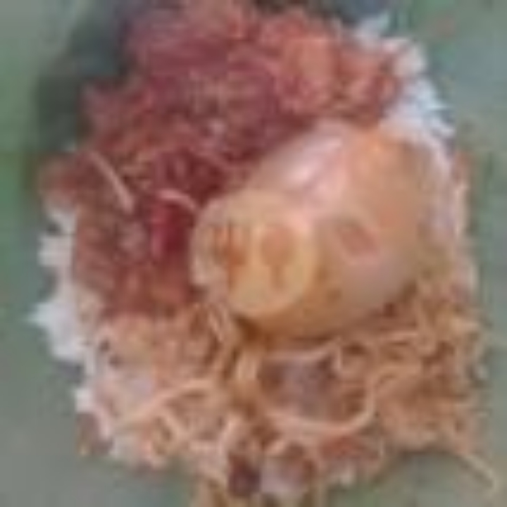 Paket Komplit Pongset Telor