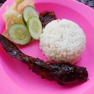 Paket Lele Bakar