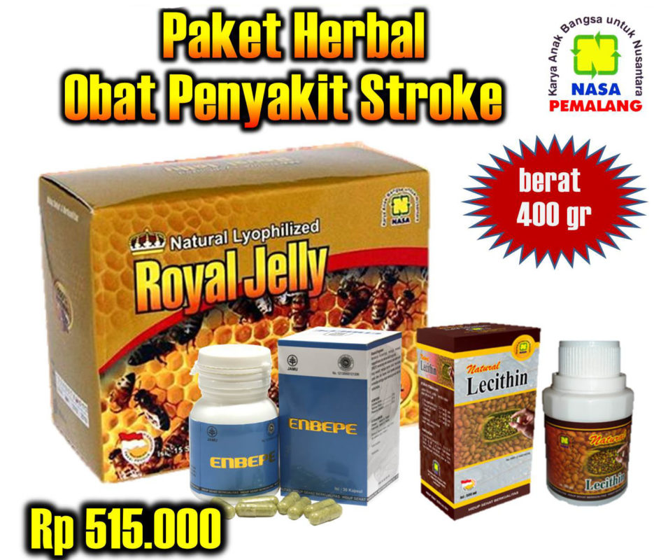 Paket Herbal Obat Penyakit Stroke