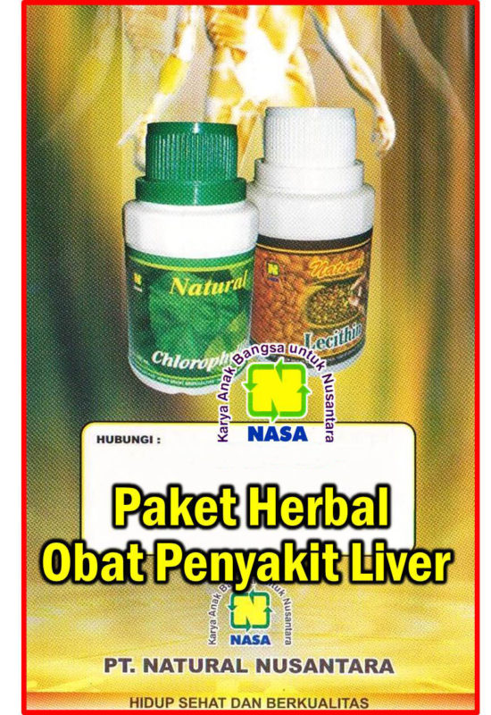 Paket Obat Penyakit Liver