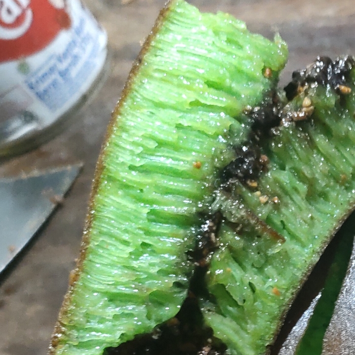 Pandan Coklat 