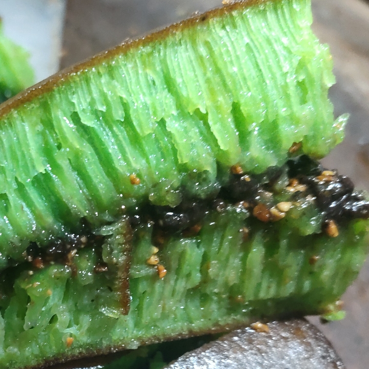 Pandan Kacang 