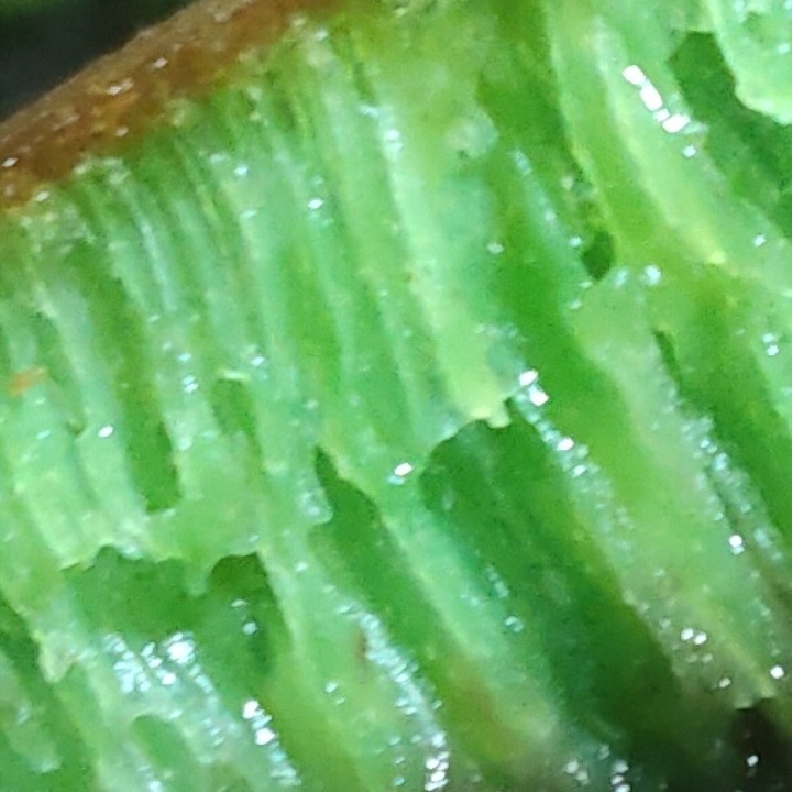 Pandan Pisang Coklat 