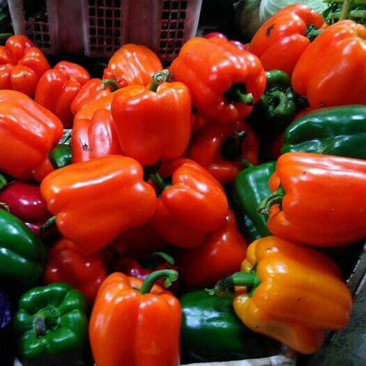 Paprika hijau kuning merah