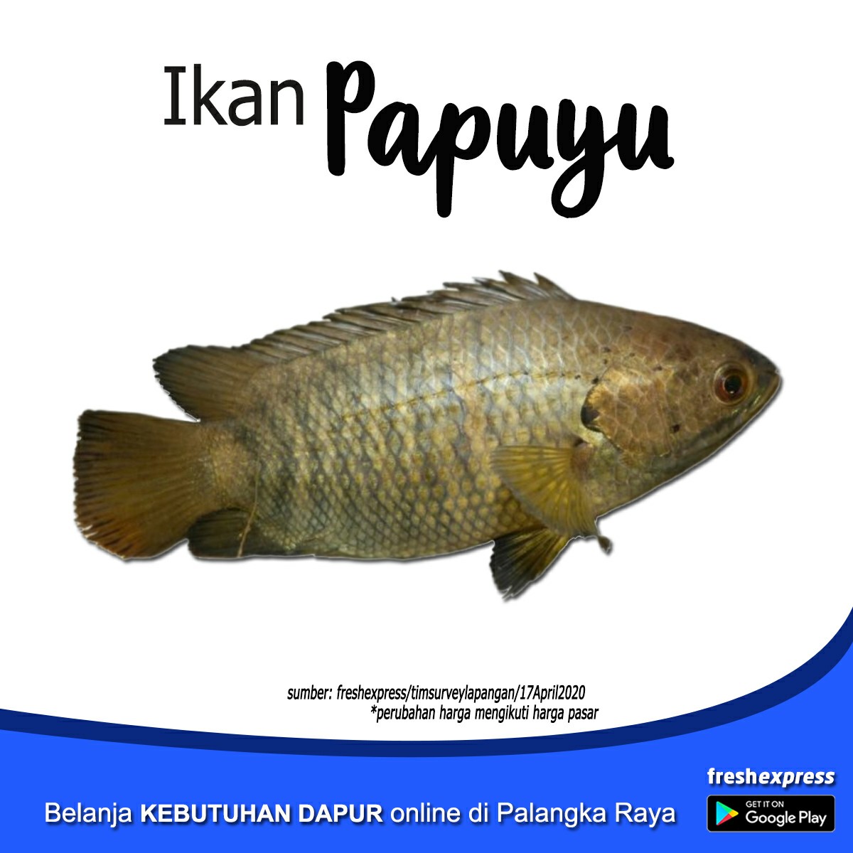 Papuyu 1 Kg