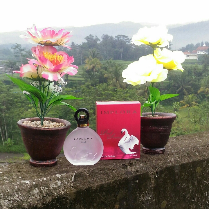 Parfum Semprot Implora