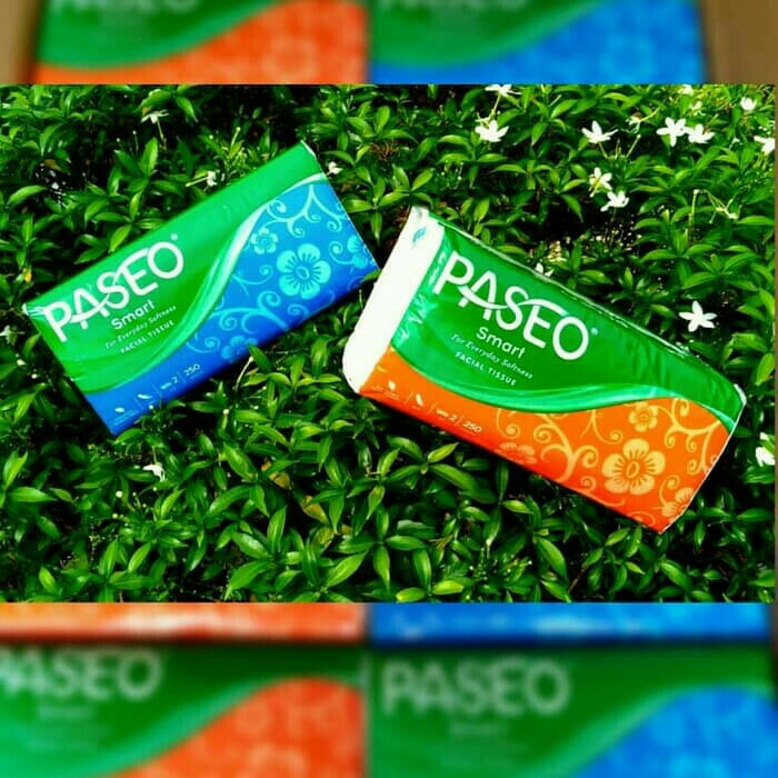 Paseo 250 Sheets 2 Ply