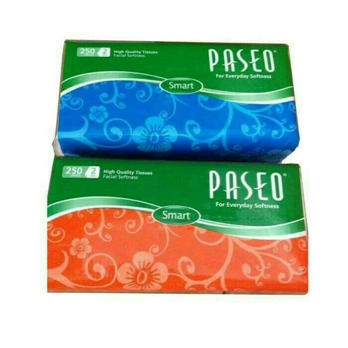 Paseo 250 Sheets 2 Ply 4