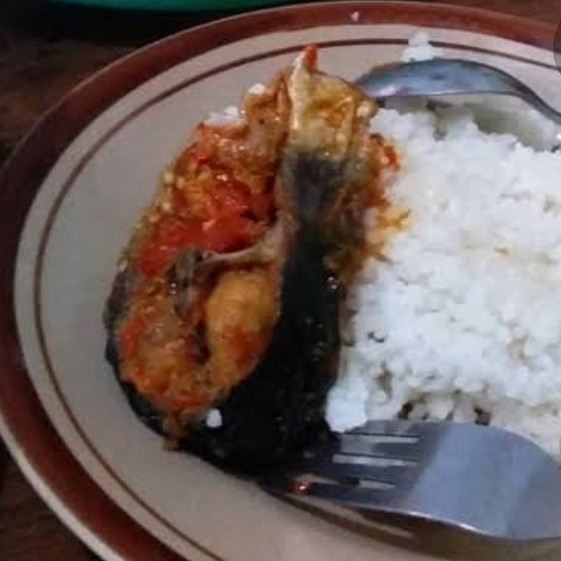 Patin Nasi