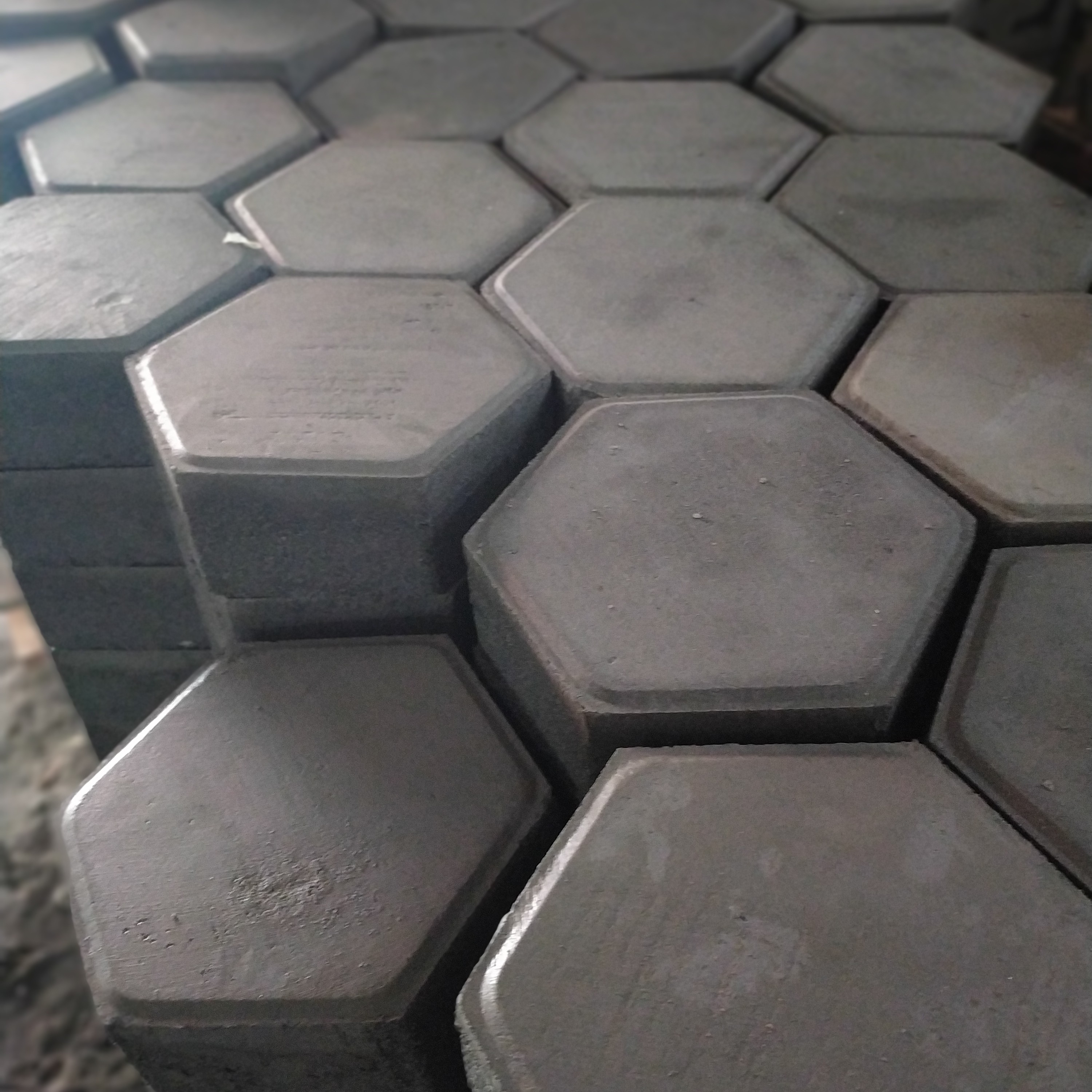 Pavingblok Segienam Polos 2