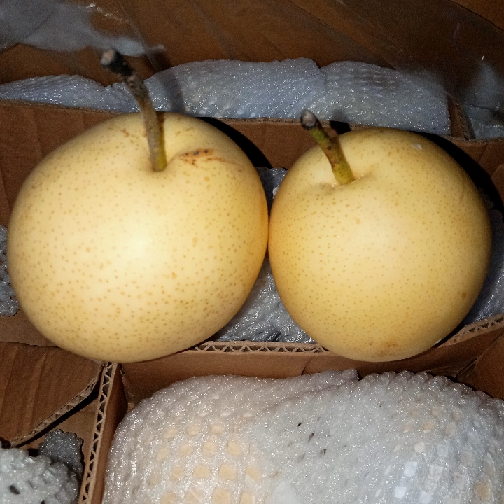 Pear Century