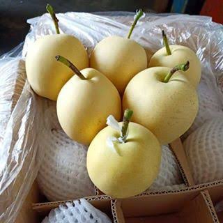 Pear Century