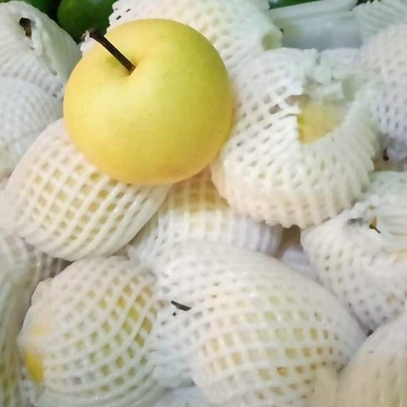 Pear Century 2