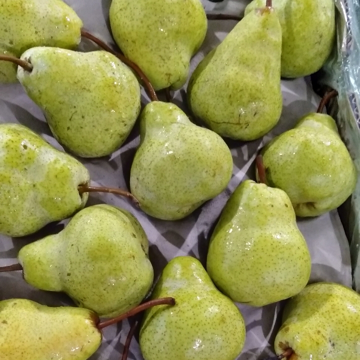 Pear Hijau 
