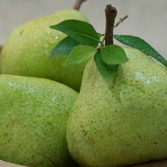 Pear Jambu
