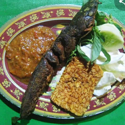 Pecal Lele