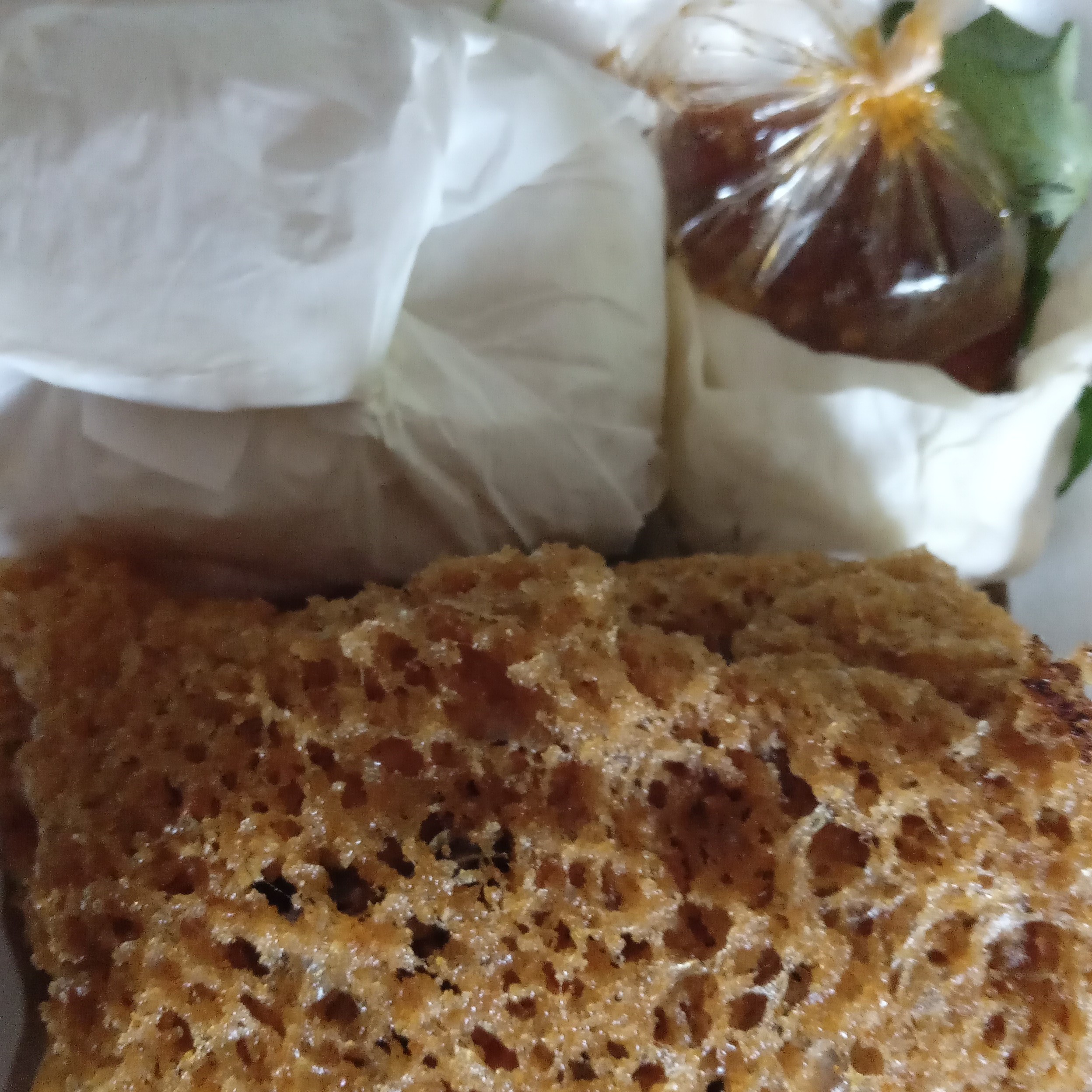 Pecel Ayam Kremes Besar Plus Nasi
