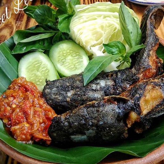 Pecal Lele