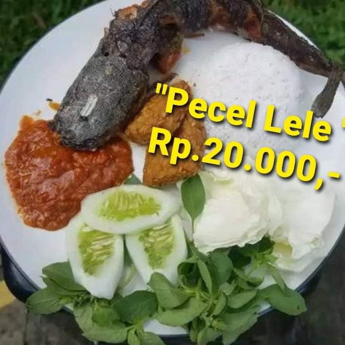 Pecel Lele