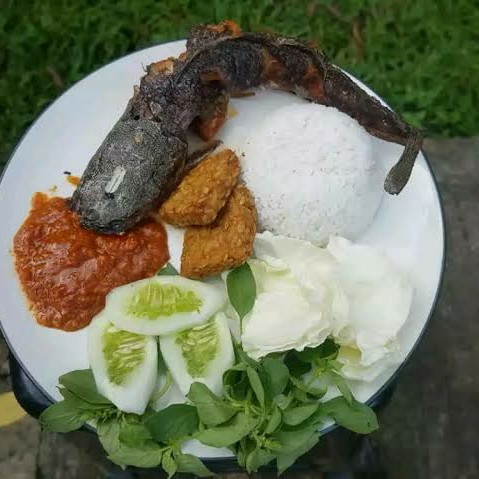 Pecel Lele