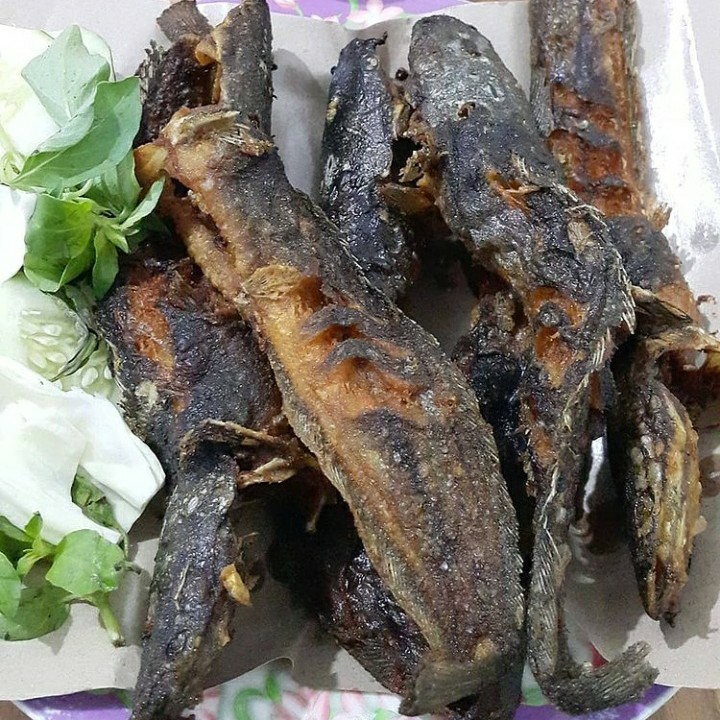 Pecel Lele
