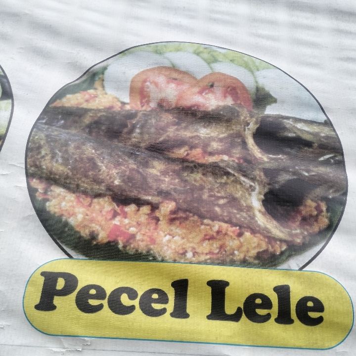 Pecel Lele