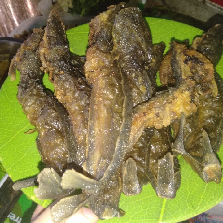 Pecel Lele