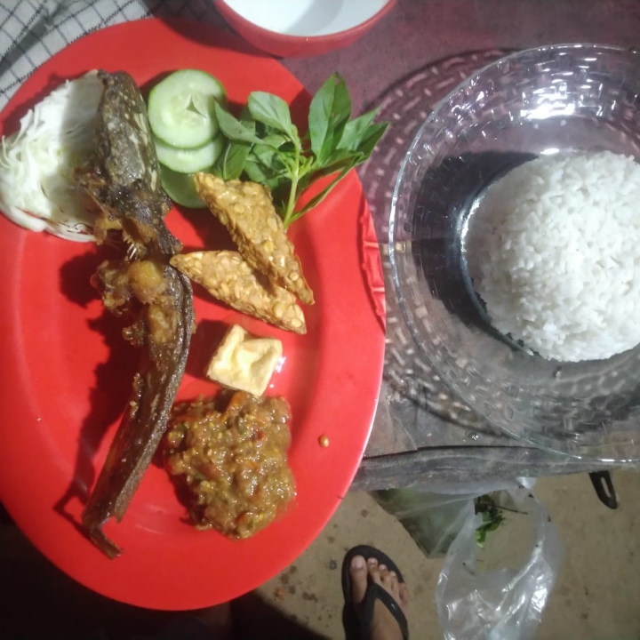 Pecel Lele Dengan Nasi