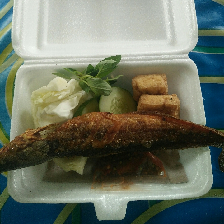 Pecel Lele Dengan Nasi