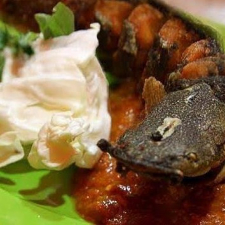 Pecel Lele Dengan Nasi